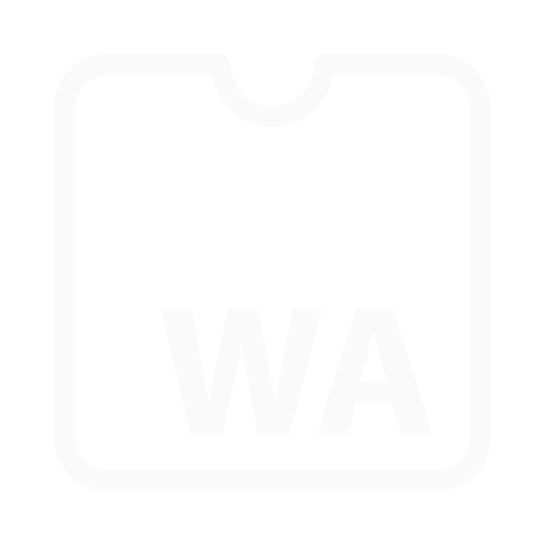 WebAssembly programmability for custom logic in data pipelines